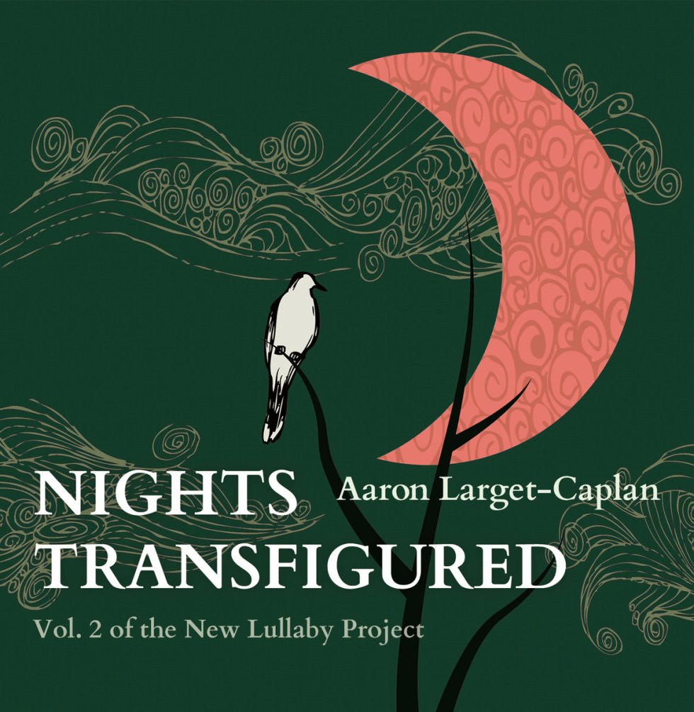 Nights Transfigured by Aaron Larget-Caplan, Bandcamp, 2020 on #neuguitars #blog