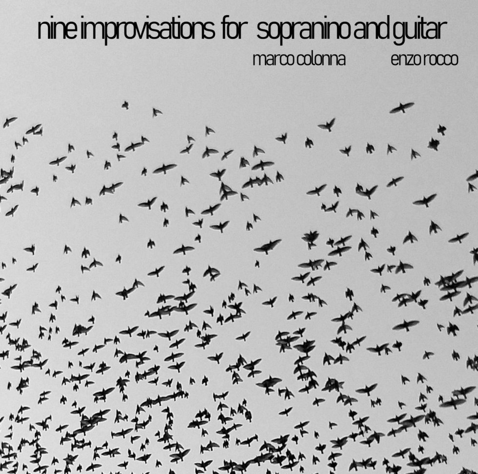 Nine Improvisations for Sopranino and Guitar, 2020 on #neuguitars #blog